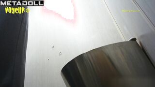 Wandering Voyeur - Public Toilet-254