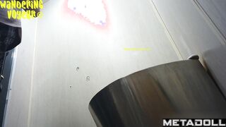 Wandering Voyeur - Public Toilet-255