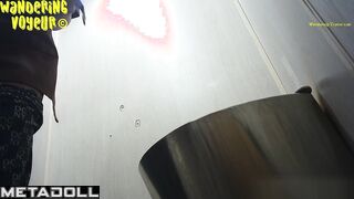 Wandering Voyeur - Public Toilet-255