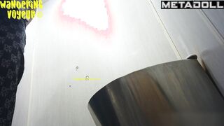 Wandering Voyeur - Public Toilet-255