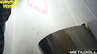 Wandering Voyeur - Public Toilet-255