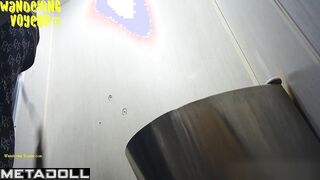 Wandering Voyeur - Public Toilet-255