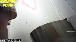 Wandering Voyeur - Public Toilet-256
