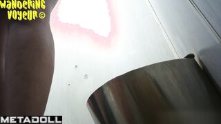 Wandering Voyeur - Public Toilet-256