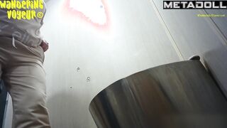 Wandering Voyeur - Public Toilet-257