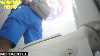 Wandering Voyeur - Beach toilet-262