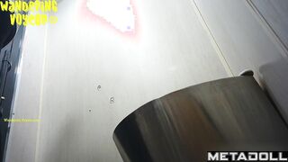 Wandering Voyeur - Public Toilet-259