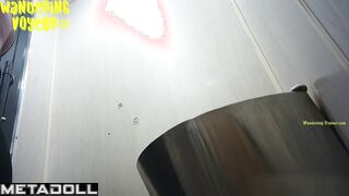 Wandering Voyeur - Public Toilet-259