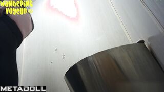 Wandering Voyeur - Public Toilet-259