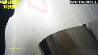 Wandering Voyeur - Public Toilet-259