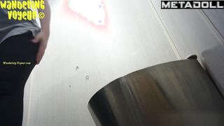 Wandering Voyeur - Public Toilet-259