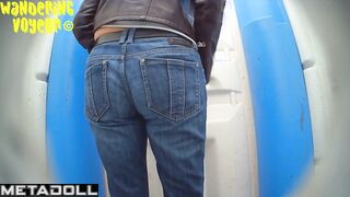 Wandering Voyeur - Bio toilet-1293
