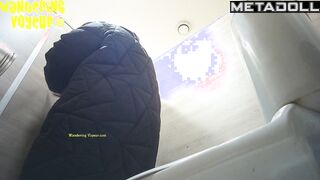 Wandering Voyeur - Mall Toilet-479