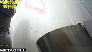 Wandering Voyeur - Public Toilet-261