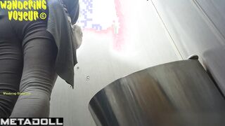 Wandering Voyeur - Public Toilet-261