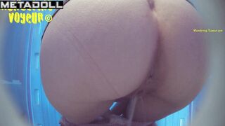 Wandering Voyeur - Beach Bio toilet-303