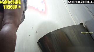 Wandering Voyeur - Public Toilet-260
