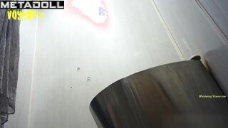 Wandering Voyeur - Public Toilet-262
