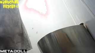 Wandering Voyeur - Public Toilet-262
