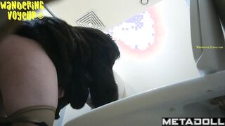 Wandering Voyeur - Mall Toilet-488