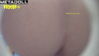 Wandering Voyeur - Beach Bio toilet-318