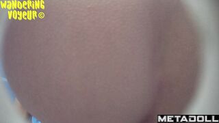 Wandering Voyeur - Beach Bio toilet-318