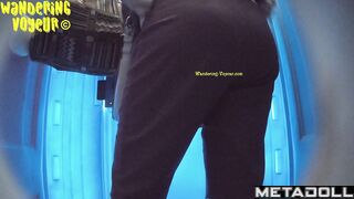 Wandering Voyeur - Beach Bio toilet-323