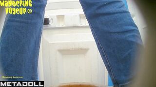 Wandering Voyeur - Bio Toilet-42K (Shit)