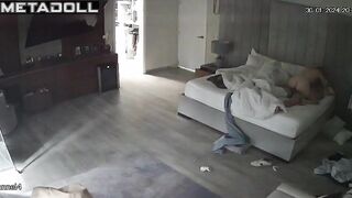 Irish young lovers having sex on the couch voyeur cam