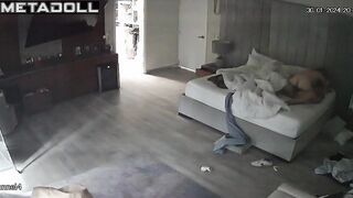 Irish young lovers having sex on the couch voyeur cam