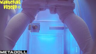 Wandering Voyeur - Beach Bio toilet-325