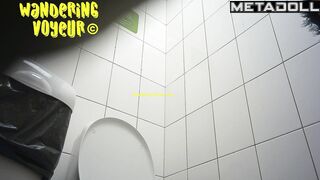 Wandering Voyeur - Public Toilet-277