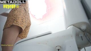 Wandering Voyeur - Beach toilet-286