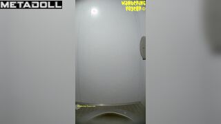 Wandering Voyeur - Street toilet-426