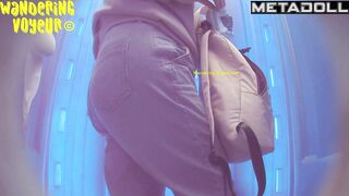 Wandering Voyeur - Beach Bio toilet-328