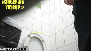 Wandering Voyeur - Public Toilet-280