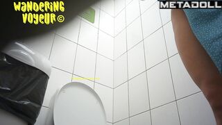 Wandering Voyeur - Public Toilet-282