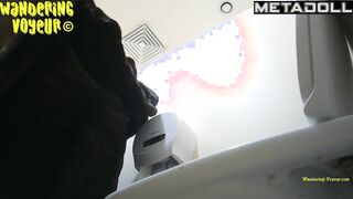 Wandering Voyeur - Mall Toilet-508