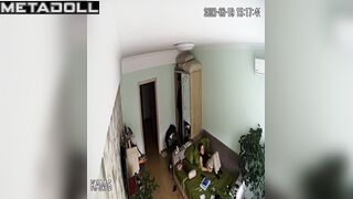 Innocent Belgian brunette doctor masturbates while watching orgy porn