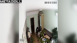 Innocent Belgian brunette doctor masturbates while watching orgy porn