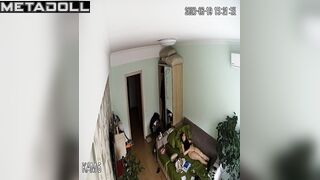 Innocent Belgian brunette doctor masturbates while watching orgy porn