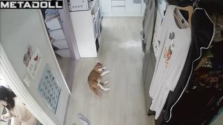 Daily routine of a Korean married couple