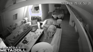 Dutch new couple fuck in their bed