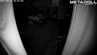 Busty Romanian brunette student girl gets fucked doggy style hidden camera
