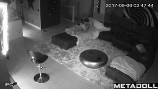Young American girl gets penetrated