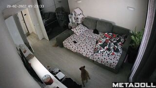 European girl gets brutally fucked