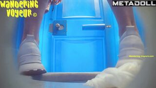 Wandering Voyeur - Beach Bio Toilet Series 364