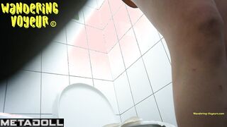  Toilet Voyeur
