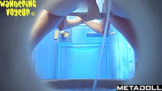Wandering Voyeur - Beach Bio Toilet Series 371