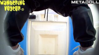 Wandering Voyeur - Bio Toilet Series 1394
